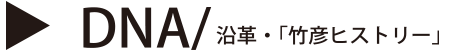 DNA/沿革・竹彦ヒストリー
